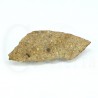 meteorito condrita nwa1465
