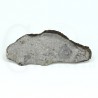 meteorito acondrita nwa1929