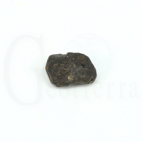 meteorito condrita buzzard coulee