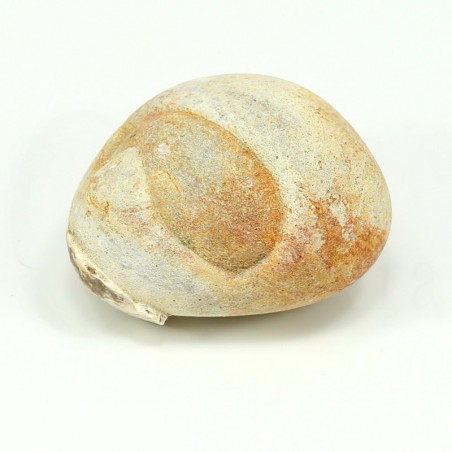 opalo melinita