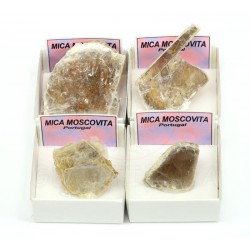 Mineral colección moscovita