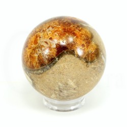 esfera ammonites