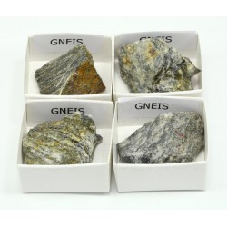 roca gneis