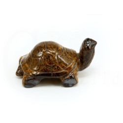 tortuga ojo de tigre
