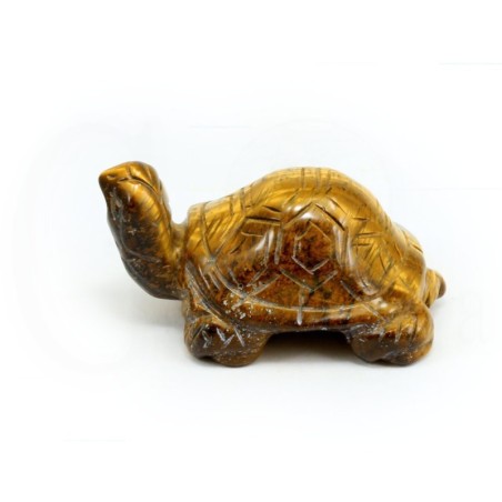 tortuga ojo de tigre