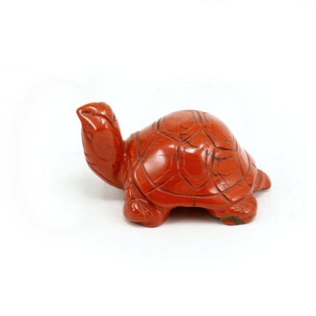 tortuga jaspe rojo