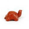 tortuga jaspe rojo