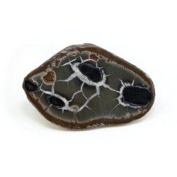 septaria marruecos