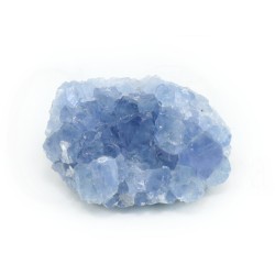 celestina
