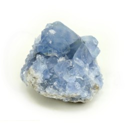 celestina