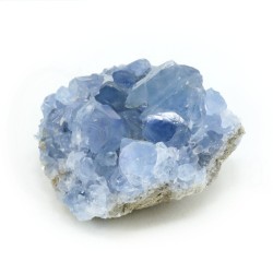 celestina