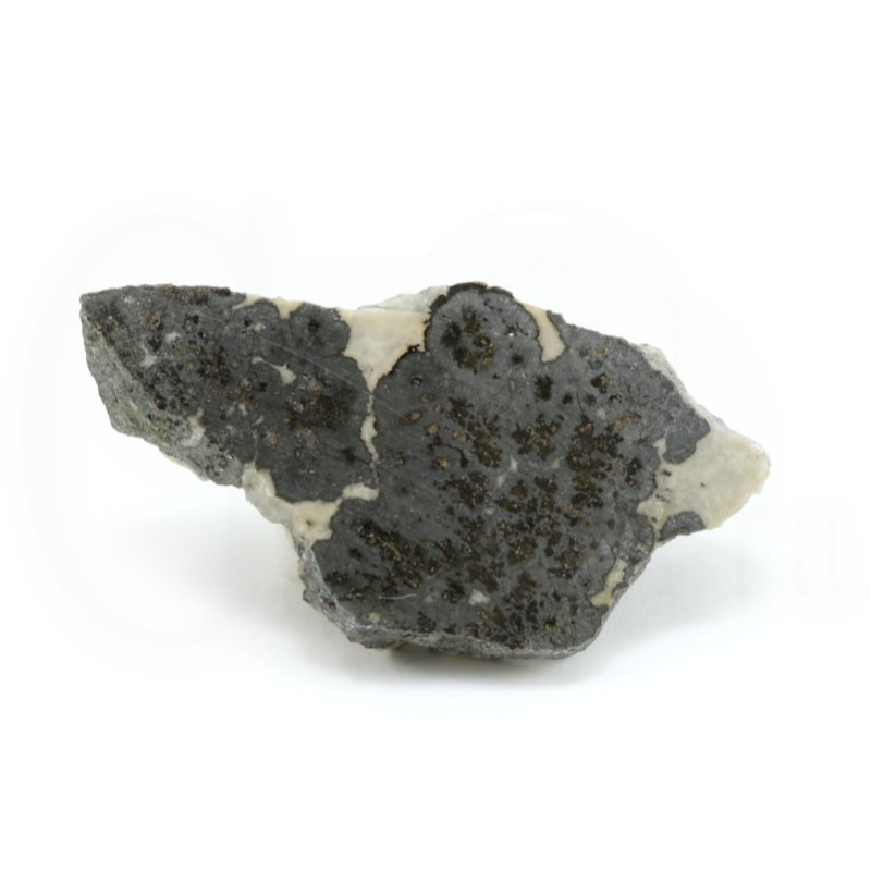 plata nativa