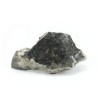 plata nativa