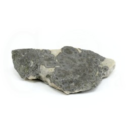 plata nativa