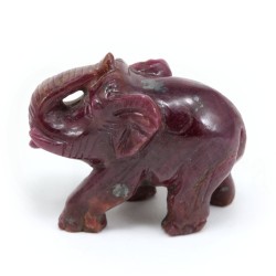 elefante rubi