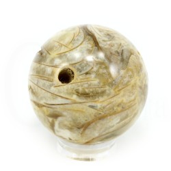 esfera ammonites