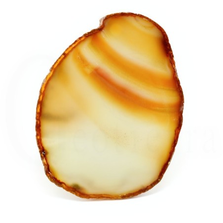 chapa agata