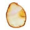 chapa agata