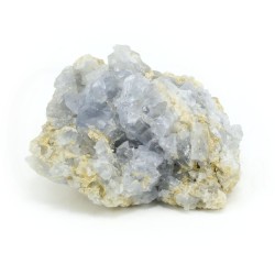 celestina