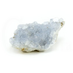 celestina