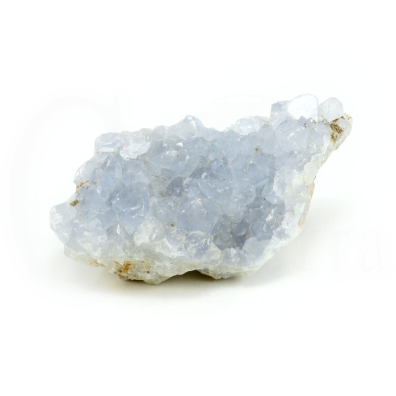 celestina