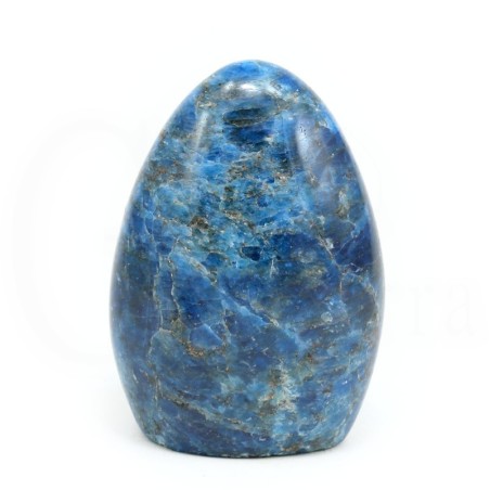 apatito azul madagascar