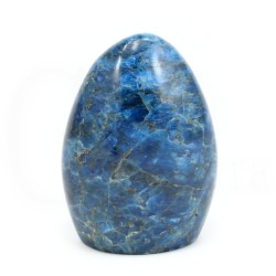 apatito azul madagascar