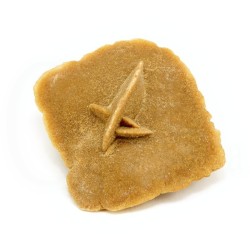 rosa desierto sahara