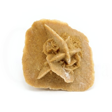 rosa desierto sahara