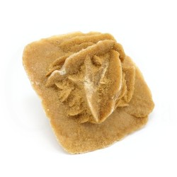 rosa desierto sahara