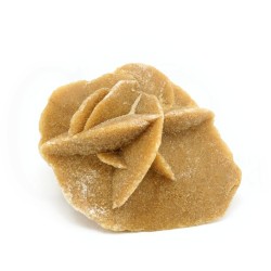 rosa desierto sahara