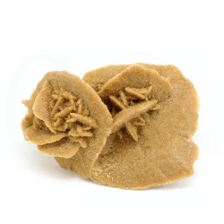 rosa desierto sahara