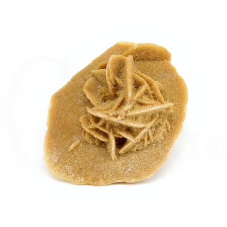 rosa desierto sahara