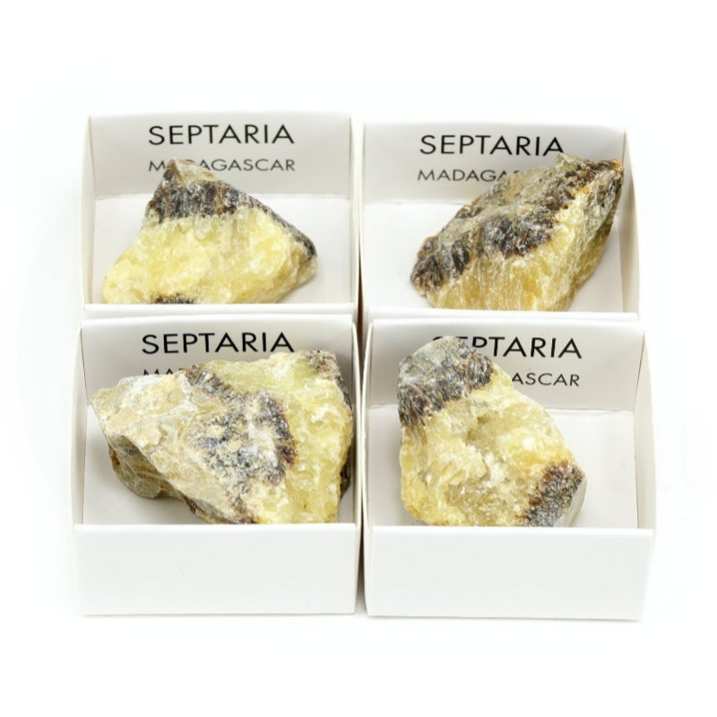 mineral septaria