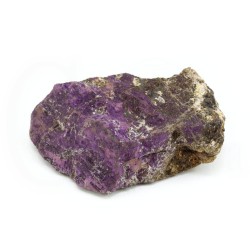 purpurita