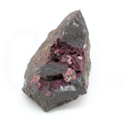 eritrina