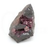 eritrina
