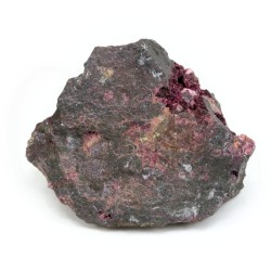 eritrina