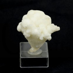aragonito coraloide
