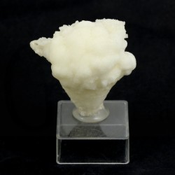 aragonito coraloide